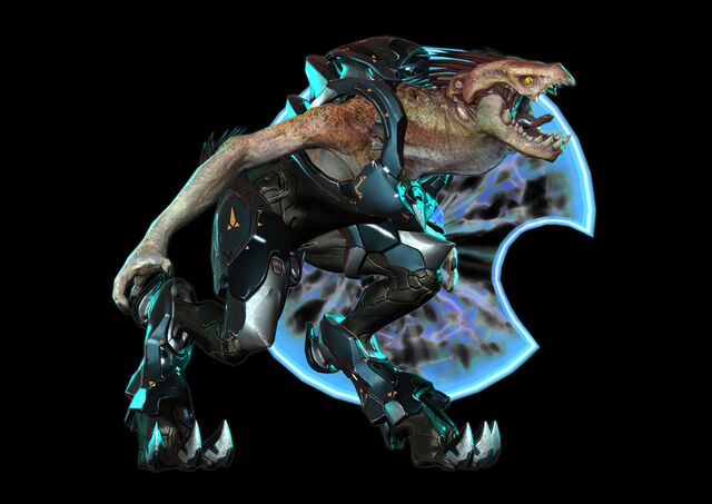 Datei:JackalMinor.jpg