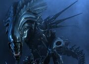 Alien Queen