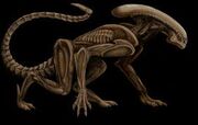 Runner Alien