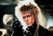 Labyrinthbowie