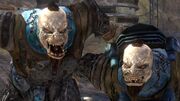 Halo-3-Covenant-Files-3-05-Jiralhanae-roaring