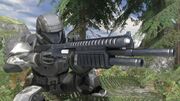 Shotty