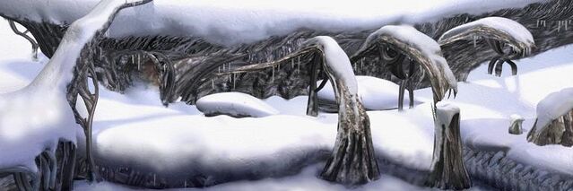 Archivo:Campo Nevado.jpg