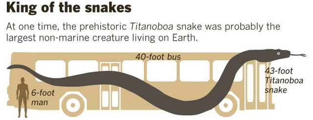 File:King of snake.png