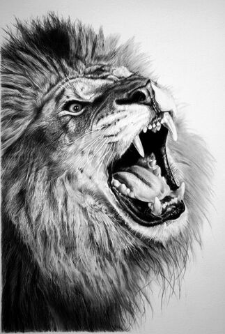 File:Lion.jpg