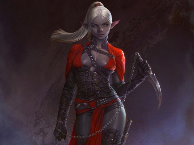 File:Dark-elf-assassin.jpg