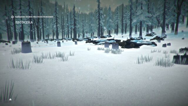 Файл:Clearcut2.jpg