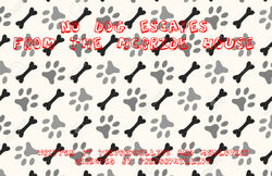 No dog title card