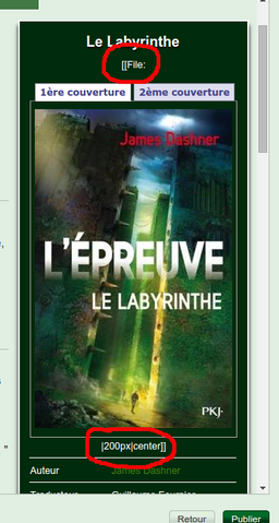 Fichier:--Files embêtant.png