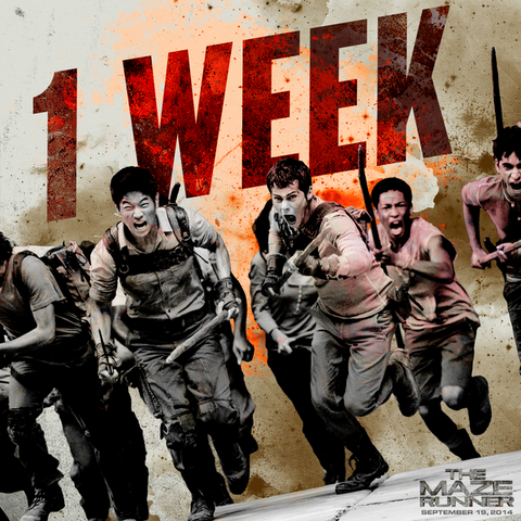 Fichier:1 week.png