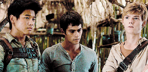 Image - Minho Thomas Newt.gif | Wiki L'Epreuve | FANDOM ...