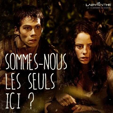 Fichier:Seuls.jpg