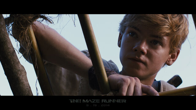 Fichier:Newt.jpg