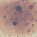 Thumbnail for version as of 07:01, July 28, 2013