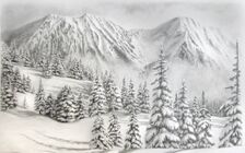 Evergreens in a valley
