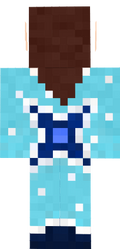 SkinSinzPetBack