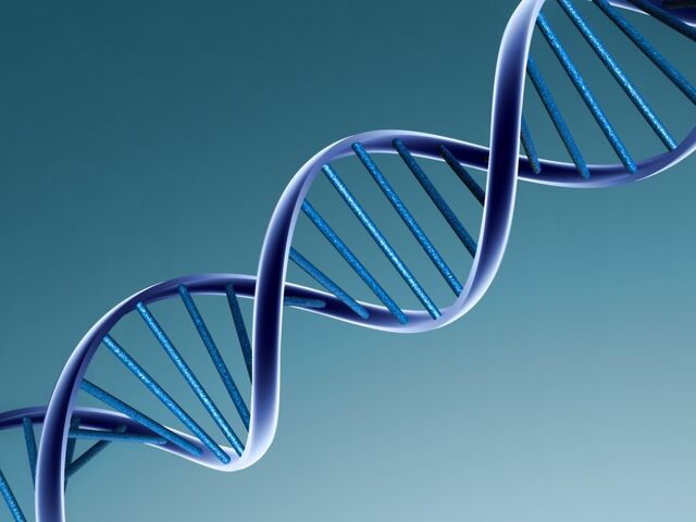 File:DNA.jpg