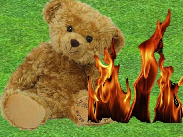 File:Teddy go boom.jpg
