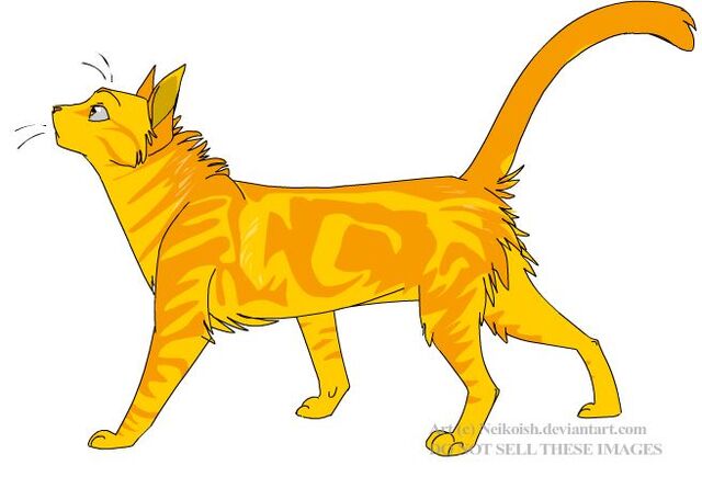 File:Lionkit.jpg