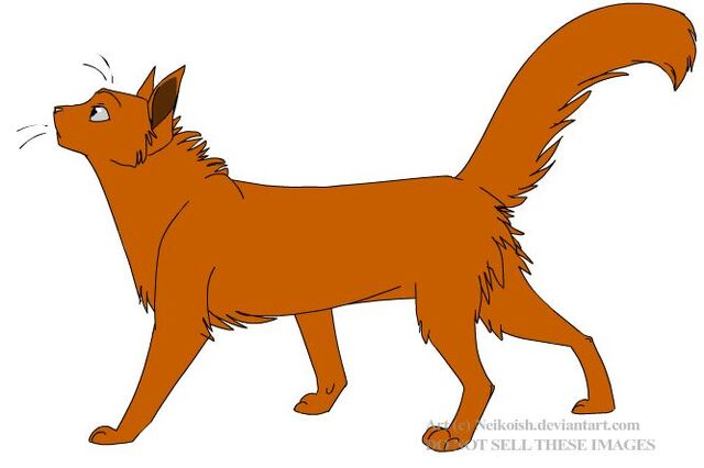 File:Willowpaw.jpg