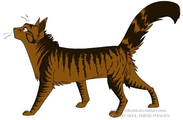 File:Furrypaw.jpg