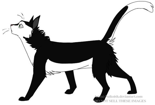 File:Blackpaw.jpg