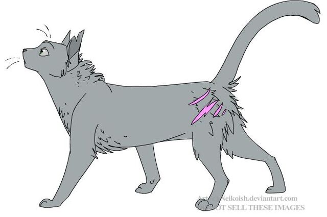 File:Oliveclaw.jpg