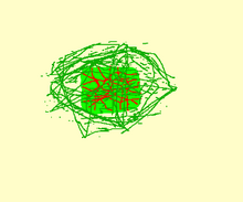 Psyder Brain