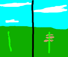Delidoka