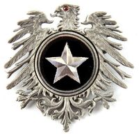 Empyrean Knights Insignia