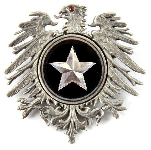 File:Empyrean Knights Insignia.jpg