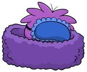 Star Sleeping