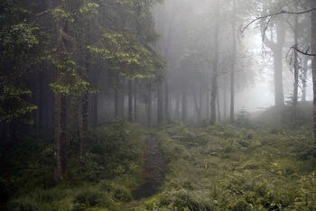 Purgatory