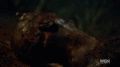 Thumbnail for version as of 23:51, December 21, 2014