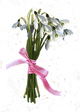 Spring 2016 snowdrops special item