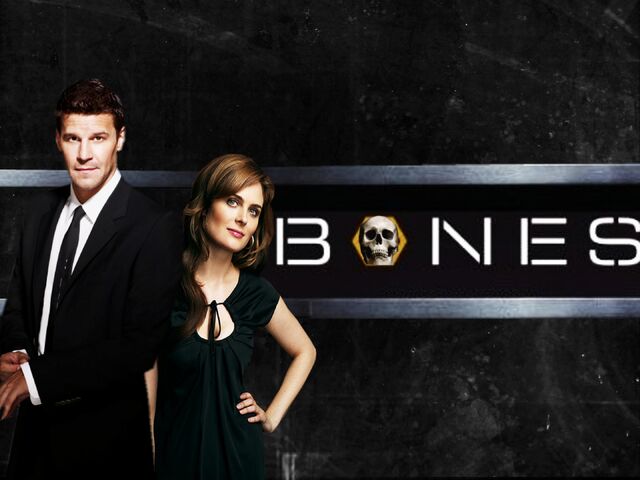 File:Bones-bones-7803936-2240-1680.jpg