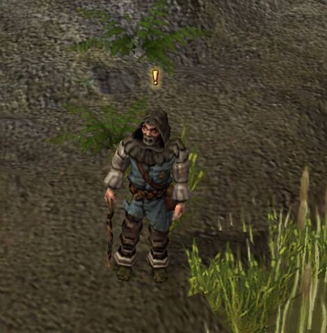 File:Hermit in the Swamps.jpg