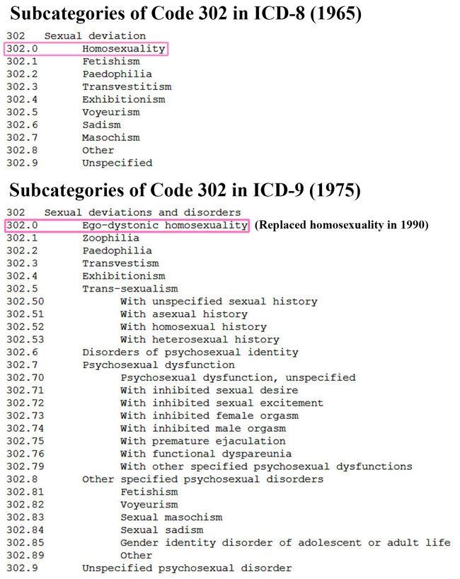 Cat302-002