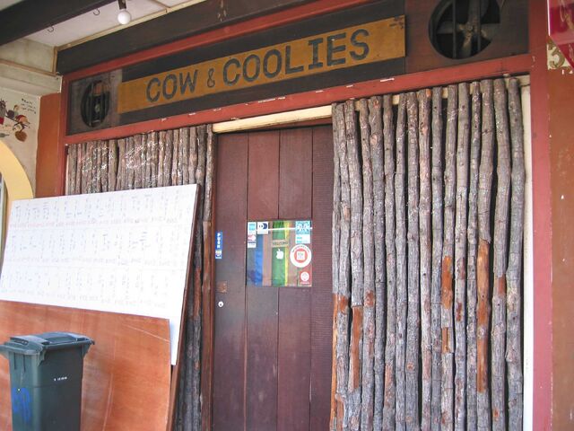 File:CowCoolies001.jpg