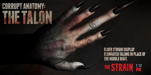 File:Corrupt-Anatomy-The-Talon-the-strain-fx-38643278-1024-512.jpg