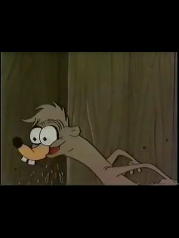 File:Weasel.jpg