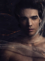 Thumbnail for version as of 13:50, February 2, 2014