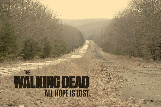 File:Wikia-Visualization-Main,thewalkingdeadallhopeislost.png