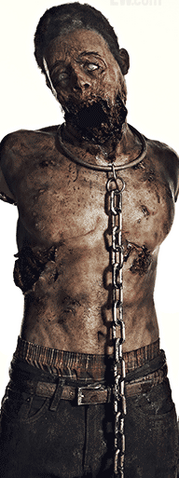 File:PetW.png