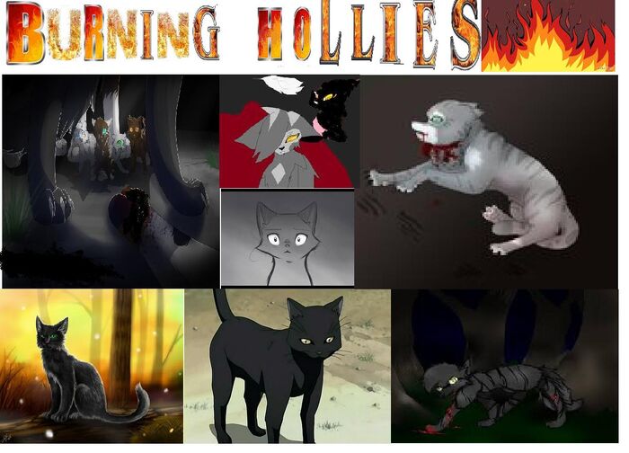 BURNING HOLLIES