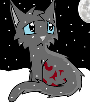 Cinderpelt