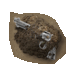 Fișier:Muditem.png