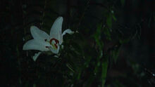 The100109 0319.jpg