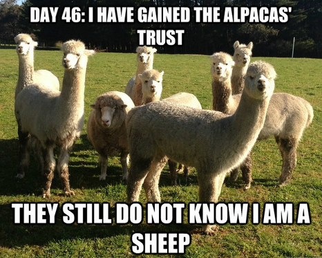 File:I am not a sheep.png