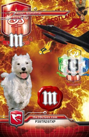 File:RedPuppy47 - Card Front.jpg